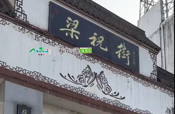 【游舒城】楊主任來跟大家介紹南港鎮(zhèn)的舒城小蘭花啦